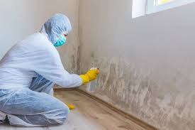 Best HVAC Mold Inspection and Cleaning  in USA